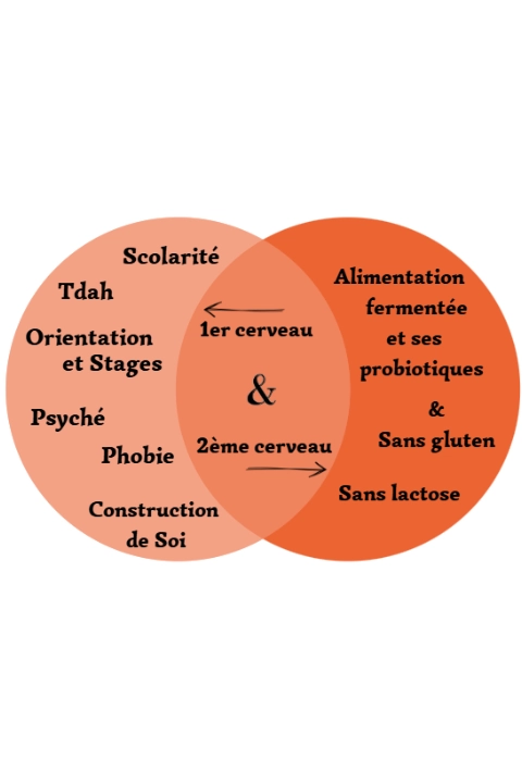 Accompagnement atypiques astrid atelier les deux cerveaux